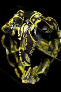 Bushido-lerunnergeek